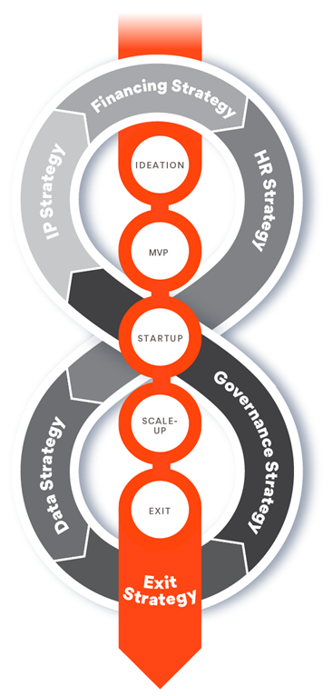 Startup lifecycle infographic