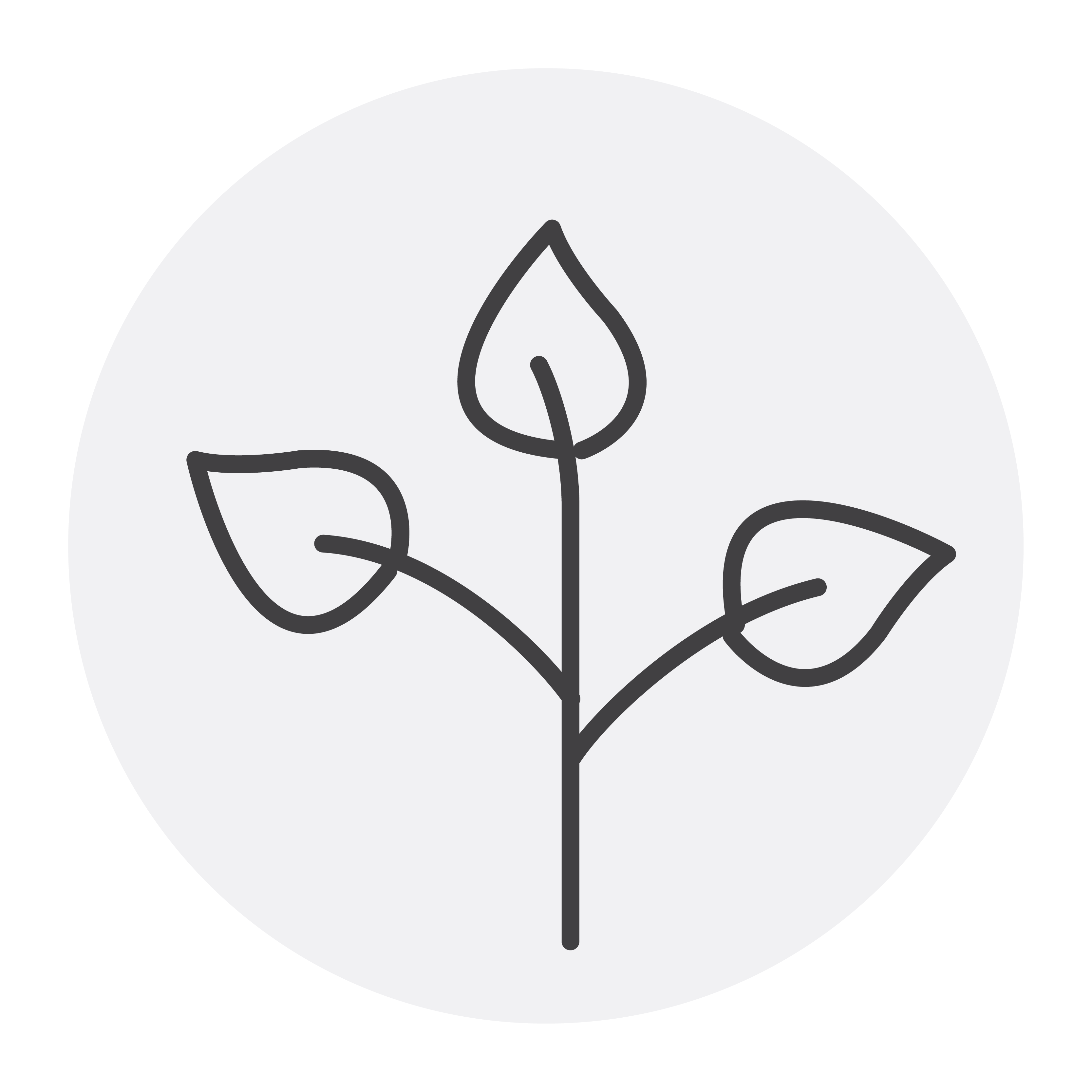 Outline of a branche with three leaves.