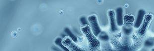 Coronavirus close-up