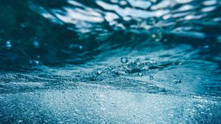 Décision historique rendue par la Cour constitutionnelle sud-africaine dans une affaire concernant le transfert des droits d’utilisation des ressources en eau